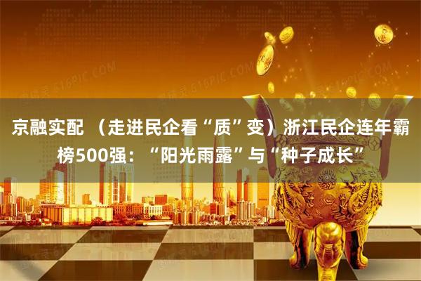 京融实配 （走进民企看“质”变）浙江民企连年霸榜500强：“阳光雨露”与“种子成长”