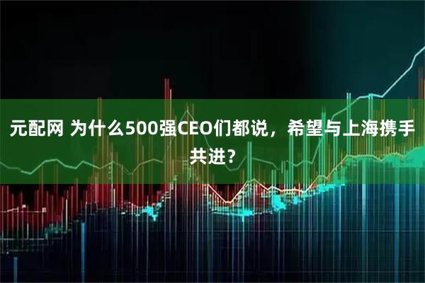 元配网 为什么500强CEO们都说，希望与上海携手共进？