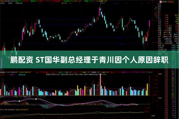 鹏配资 ST国华副总经理于青川因个人原因辞职