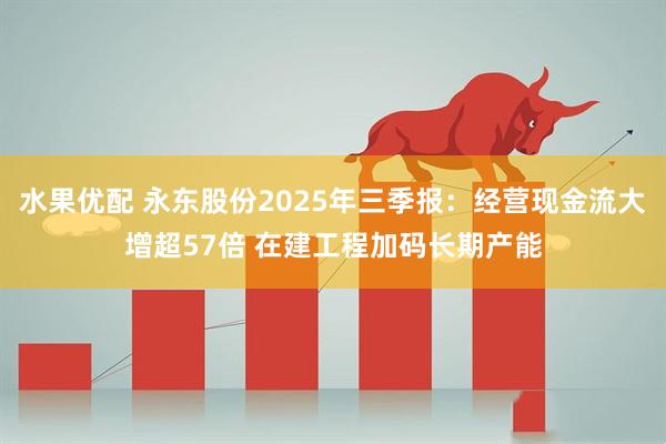 水果优配 永东股份2025年三季报：经营现金流大增超57倍 在建工程加码长期产能