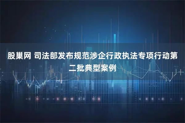 股巢网 司法部发布规范涉企行政执法专项行动第二批典型案例